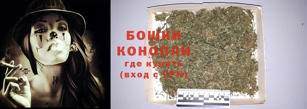 PSILOCYBIN Горнозаводск