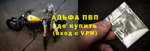 PSILOCYBIN Горнозаводск