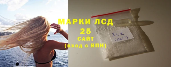 PSILOCYBIN Горнозаводск