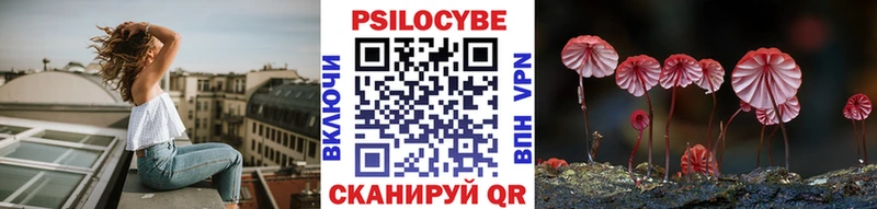 Галлюциногенные грибы Cubensis  Купить  Воткинск 
